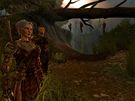 Dragon Age: Origins