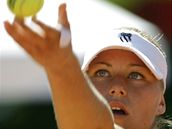 Vera Zvonarevová podává