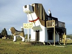 Hotel Dog Bark Park Inn v Idaho v USA