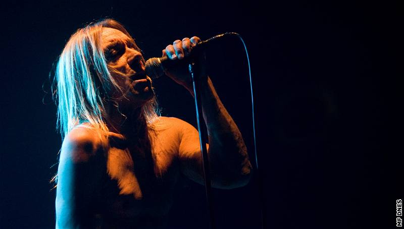 Iggy Pop & The Stooges