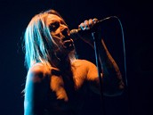 Iggy Pop & The Stooges