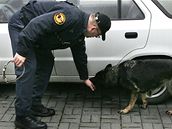 Psi museli najít drogy nebo výbu�niny co nejrychleji