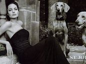 Angelina Jolie pro znaku St. John fotila naposledy