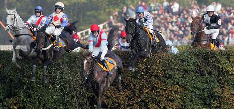 Velk pardubick: Taxisv pkop