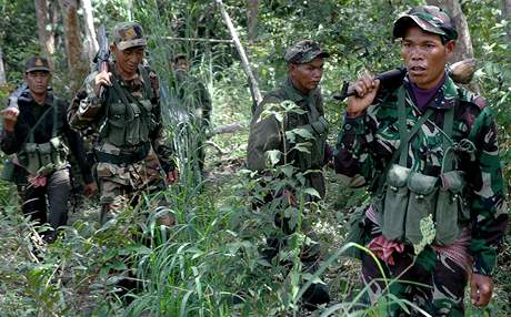 Naptí v oblasti Preah Vihear se zvýilo letos v ervenci, kdy ob strany vyslaly na místo stovky voják.