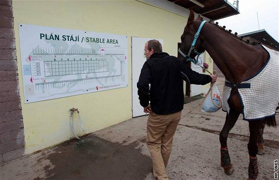 Na pardubickém závoditi podnikají podle analýzy firmy, které nemají smlouvu. Ilustraní foto