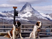výcarsko, Zermatt, bernardini - záchranái