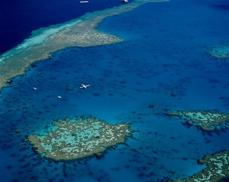 Austrlie, Great Barrier Reef