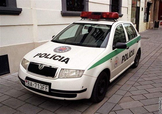 Údajné paeráky sloventí policisté zadreli na hranicích s eskem. Ilustraní foto.