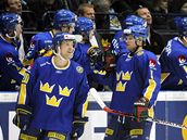 védsko: hokejisté se radují ze svého jediného gólu v duelu s eskem