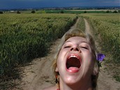 Veronika Bromov� � Rozcest�, Kr�lovstv�, 2003-2005