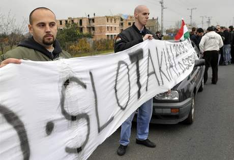 Maartí pravicoví radikálové protestovali proti zásahu slovenské policie pi nedávném fotbalovém zápase.