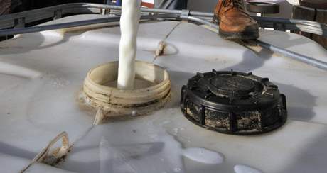 Vypoutní nadojeného mléka na odpadní cisterny