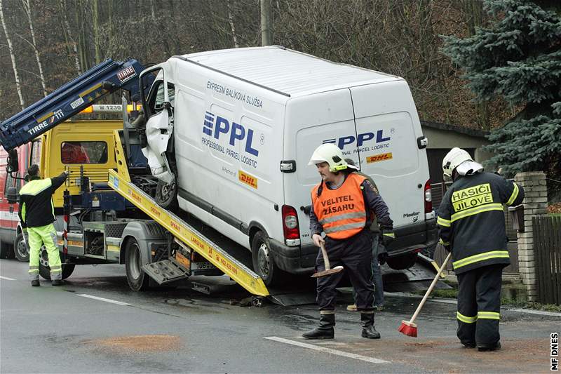 Nehodu u Jílového na Dínsku zpsobil divoák pebíhající pes silnici. idi erveného vozu nehodu nepeil.