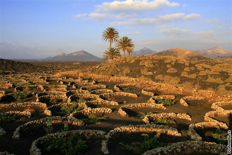 Lanzarote si oblíbili i filmai. Na tchto místech se natáela napíklad legendární sci-fi Planeta opic.