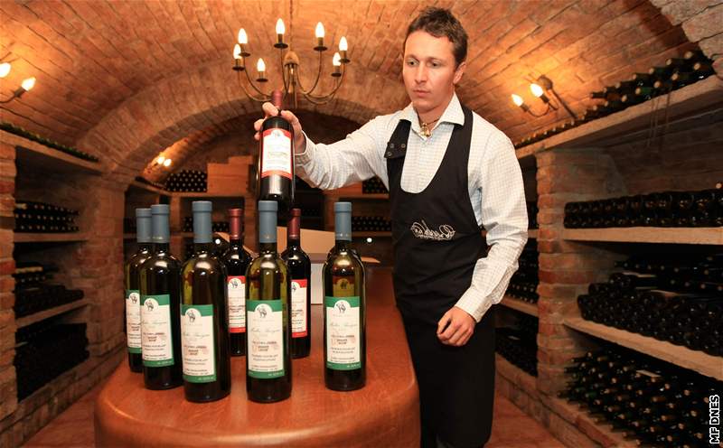 Martin Bedich chystá mladé víno z roníku 2008