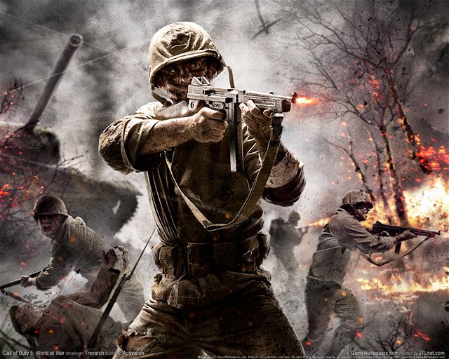 Call of Duty: World at War (PC)