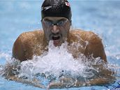Tuniský plavec Usáma Melluli pi finále Svtového poháru v Berlín