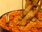 Substrát na posypání hydroponicky rostoucích rostlin