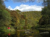 P�irozen� a lidskou �innost� nenaru�en� �eka Dyje v NP Podyj�