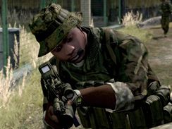 ArmA 2 (PC)