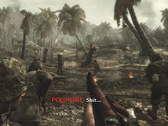 Call of Duty: World at War (PC)