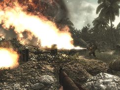 Call of Duty: World at War (PC)