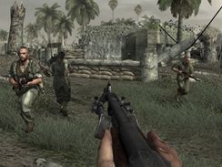 Call of Duty: World at War (PC)