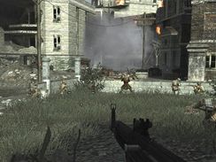 Call of Duty: World at War (PC)