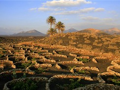 Kanrsk ostrovy, Lanzarote