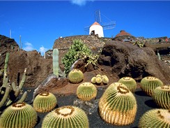 Kanrsk ostrovy, Lanzarote