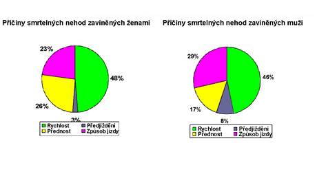 Statistiky nehodovosti eny v. mui