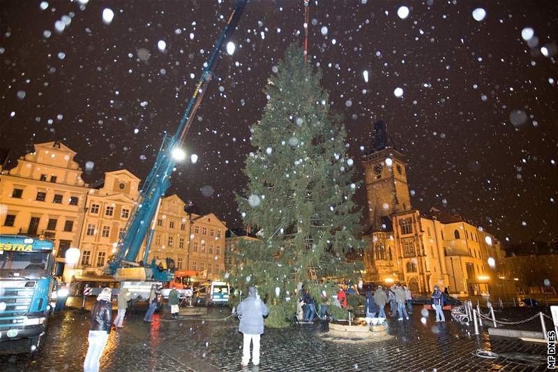 Na Staromstské námstí dorazil devadesátiletý vánoní strom