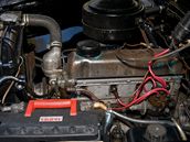 Volha Gaz 21