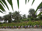 Z knihy ReCycling - Tour de Langkawi 2008 (Malajsie)