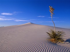 USA, New Mexico, White Sands