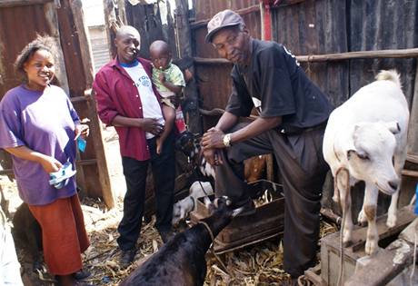 Benson Alumbasi s pteli ve slumu Korogocho (Benson uprosted)