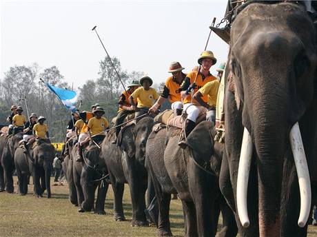 Slon plo v Neplu (5. prosince 2008)