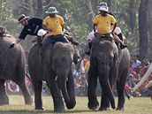 Sloní pólo v Nepálu (5. prosince 2008)