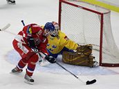 védsko - esko, Vaíek ped brankáem Modigem.