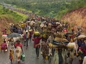 Genocida ve Rwand si vyádala podle odhad a 800 tisíc obtí.