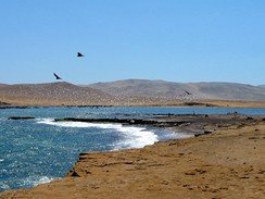 Peru, pobl rezervace Paracas