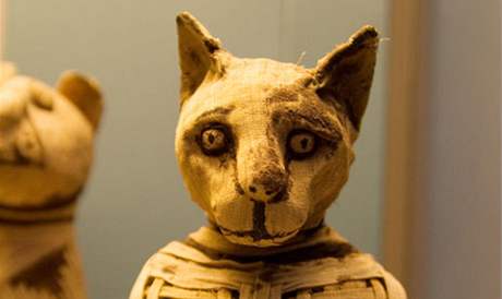 Koií mumie v Britském muzeu v Londýn