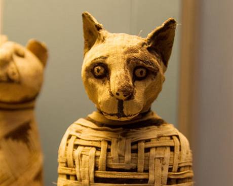 Koií mumie v Britském muzeu v Londýn