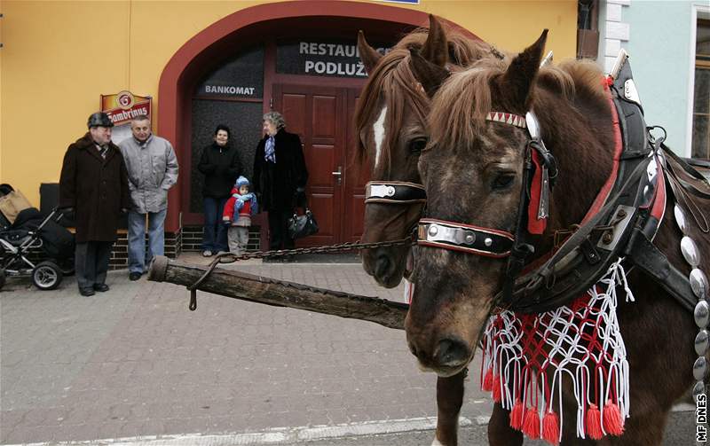 Na tpána se na námstí v Lanhot sjelo asi 30 koní, kterým poehnal fará Frantiek Putna