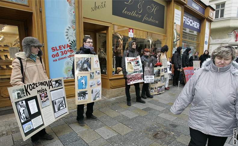 Protest proti koeinám na námstí Svobody v Brn