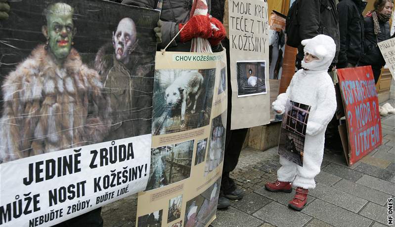 Protest proti koeinám na námstí Svobody v Brn