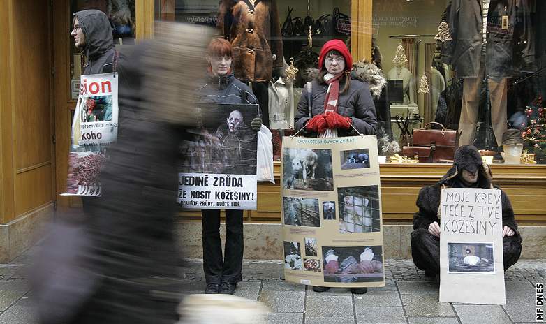 Protest proti koeinám na námstí Svobody v Brn