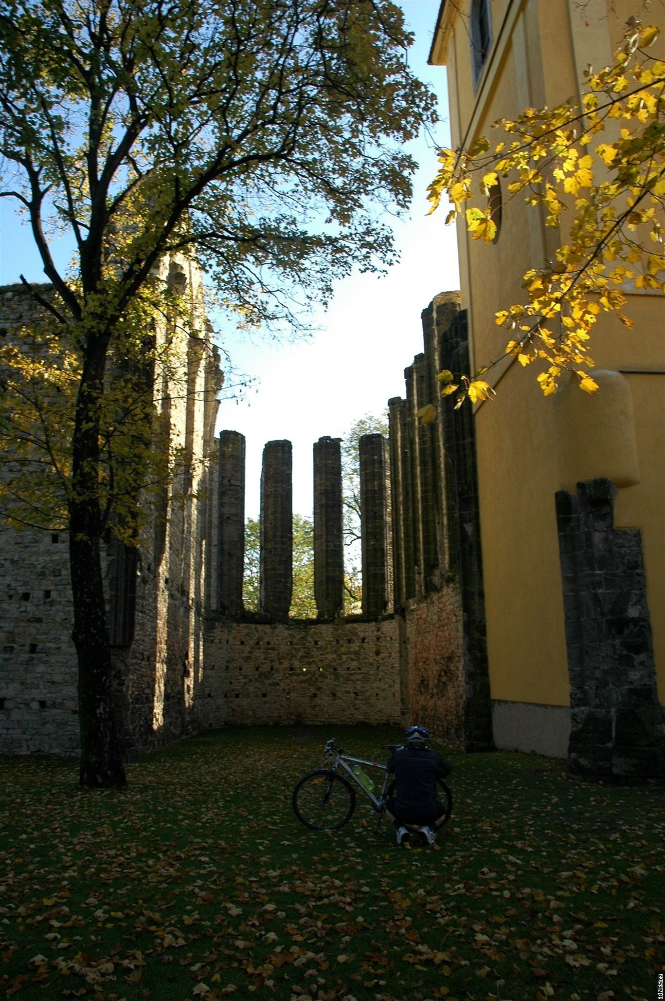 Panenský Týnec