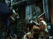 Batman: Arkham Asylum (PC)